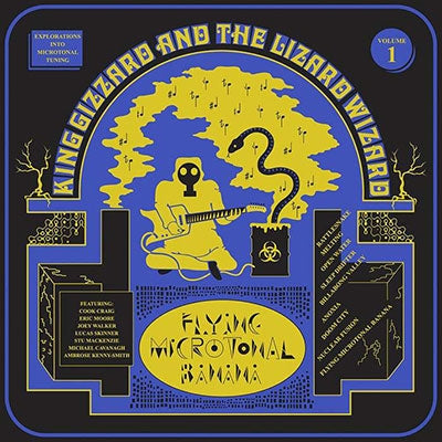 King Gizzard And The Lizard Wizard - Flying Microtonal Banana