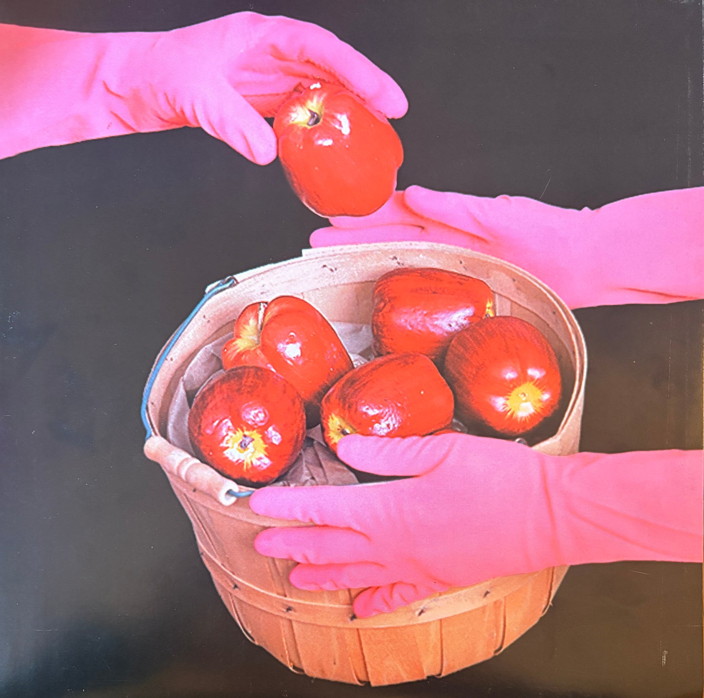 Hella!! Hold Your Horse Is