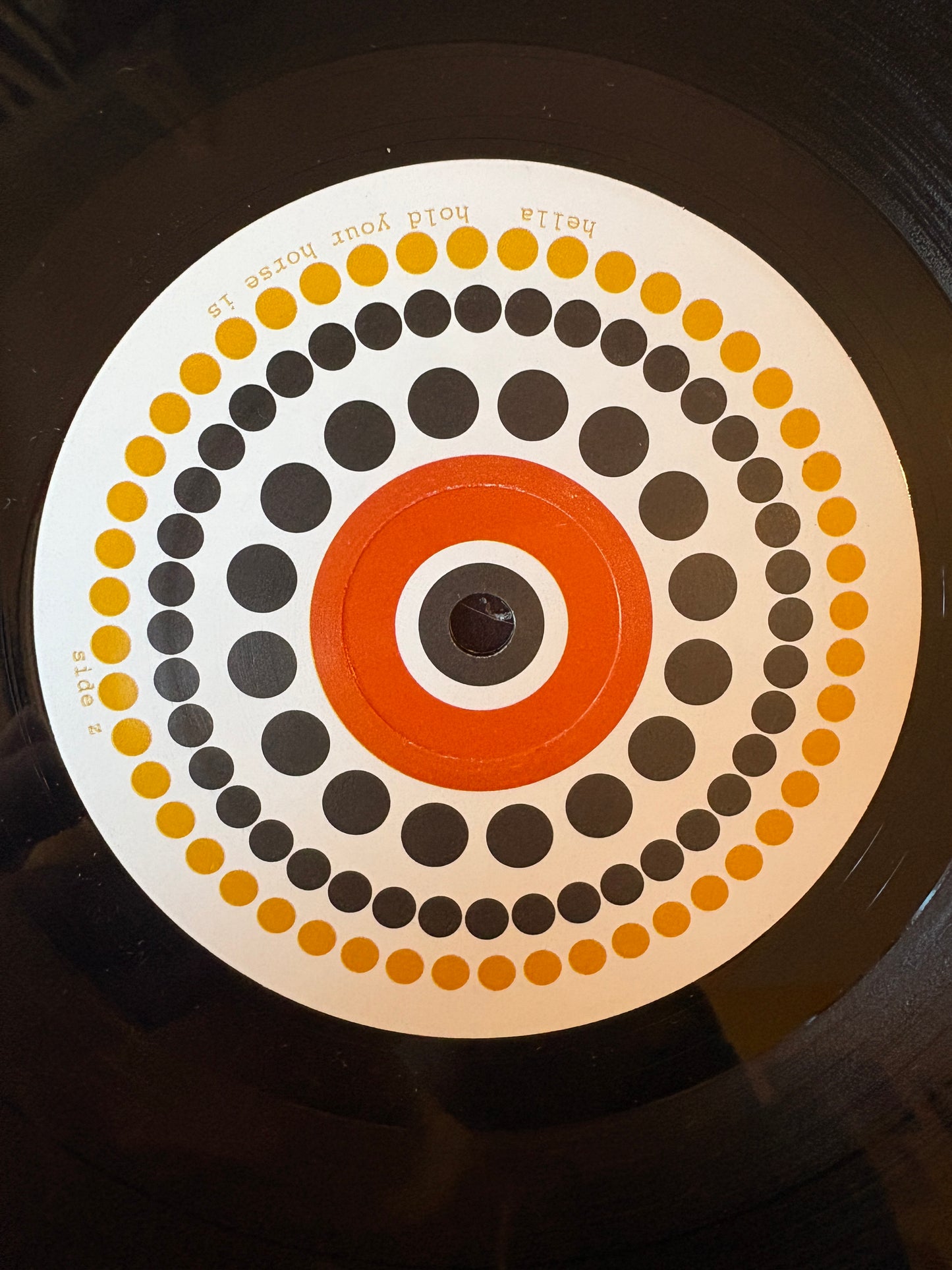 Hella!! Hold Your Horse Is