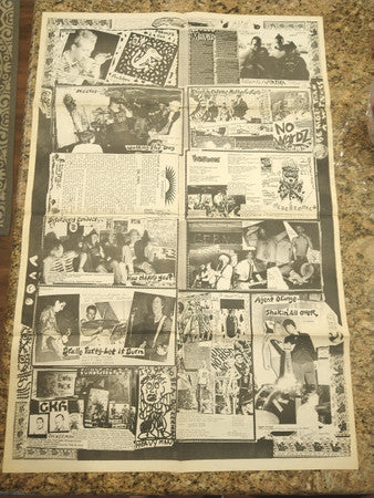 Various ‎– Flipside Vinyl Fanzine Vol 2