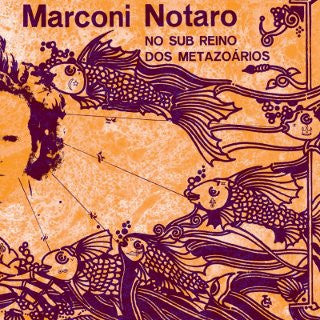 Marconi Notaro ‎– No Sub Reino Dos Metazoários