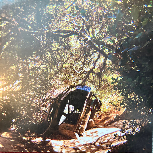 Ty Segall - Possession